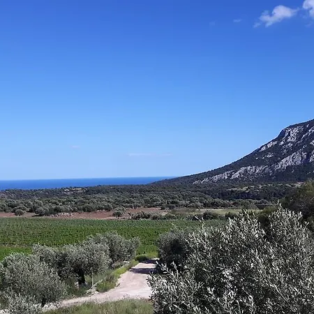 Agriturismo Su Barcu-2